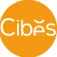 CÔNG TY TNHH CIBES LIFT VIỆT NAM