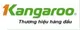 CÔNG TY TNHH MỘT THÀNH VIÊN SX LẮP RÁP CNC KANGAROO
