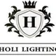 CÔNG TY TNHH THƯƠNG MẠI HOLI VIỆT NAM