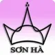 Công ty TNHH Thương mại Sơn Hà