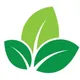 CÔNG TY TNHH THẾ GIỚI CẢNH QUAN XANH