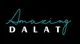 DALAT AI SOLUTION TRADING INVESTMENT COMPANY LIMITED
