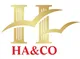 CÔNG TY CỔ PHẦN TƯ VẤN DOANH NGHIỆP HA&CO