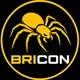 CÔNG TY TNHH BRICON VIỆT NAM