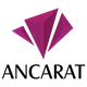 CÔNG TY CỔ PHẦN KIM LOẠI QUÝ ANCARAT