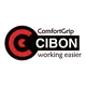 CÔNG TY TNHH CÔNG NGHIỆP CIBON VIỆT NAM