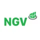 CÔNG TY TNHH KIỂM TOÁN VÀ TƯ VẤN NGV