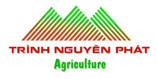 CÔNG TY CỔ PHẦN TRÌNH NGUYÊN PHÁT