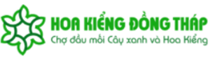 Công ty TNHH Thương Mại Hoa Kiểng Đồng Tháp