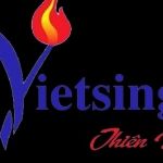CÔNG TY CỔ PHẦN TẬP ĐOÀN ĐỊA ỐC VIỆT NAM - SINGAPORE