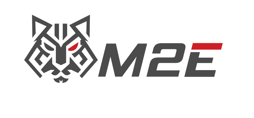 Công ty Cổ phần Thương mại điện tử M2 Global