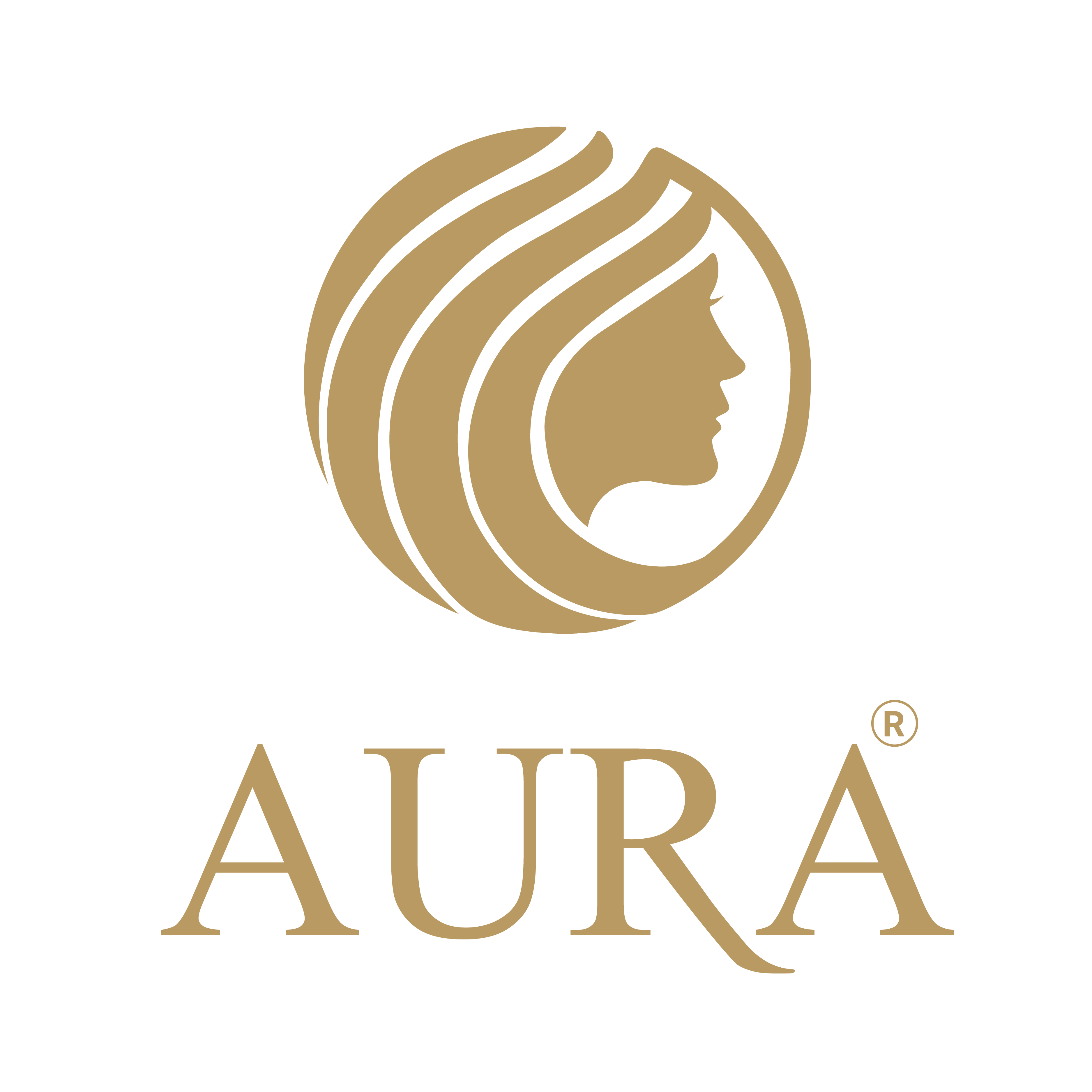 CÔNG TY CỔ PHẦN TẬP ĐOÀN AURA
