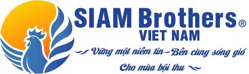 Công ty Cổ phần Siam Brothers Việt Nam