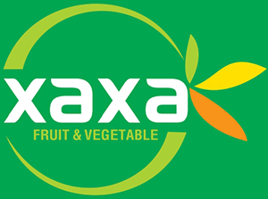 CÔNG TY TNHH THƯƠNG MẠI DỊCH VỤ XAXA