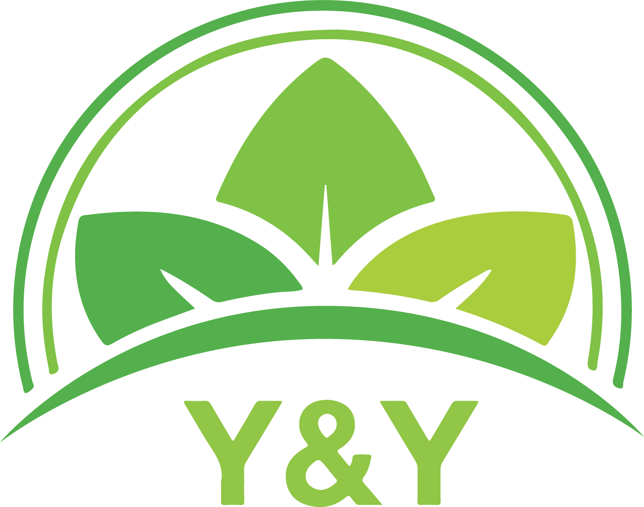 CÔNG TY CỔ PHẦN Y&Y GROUP