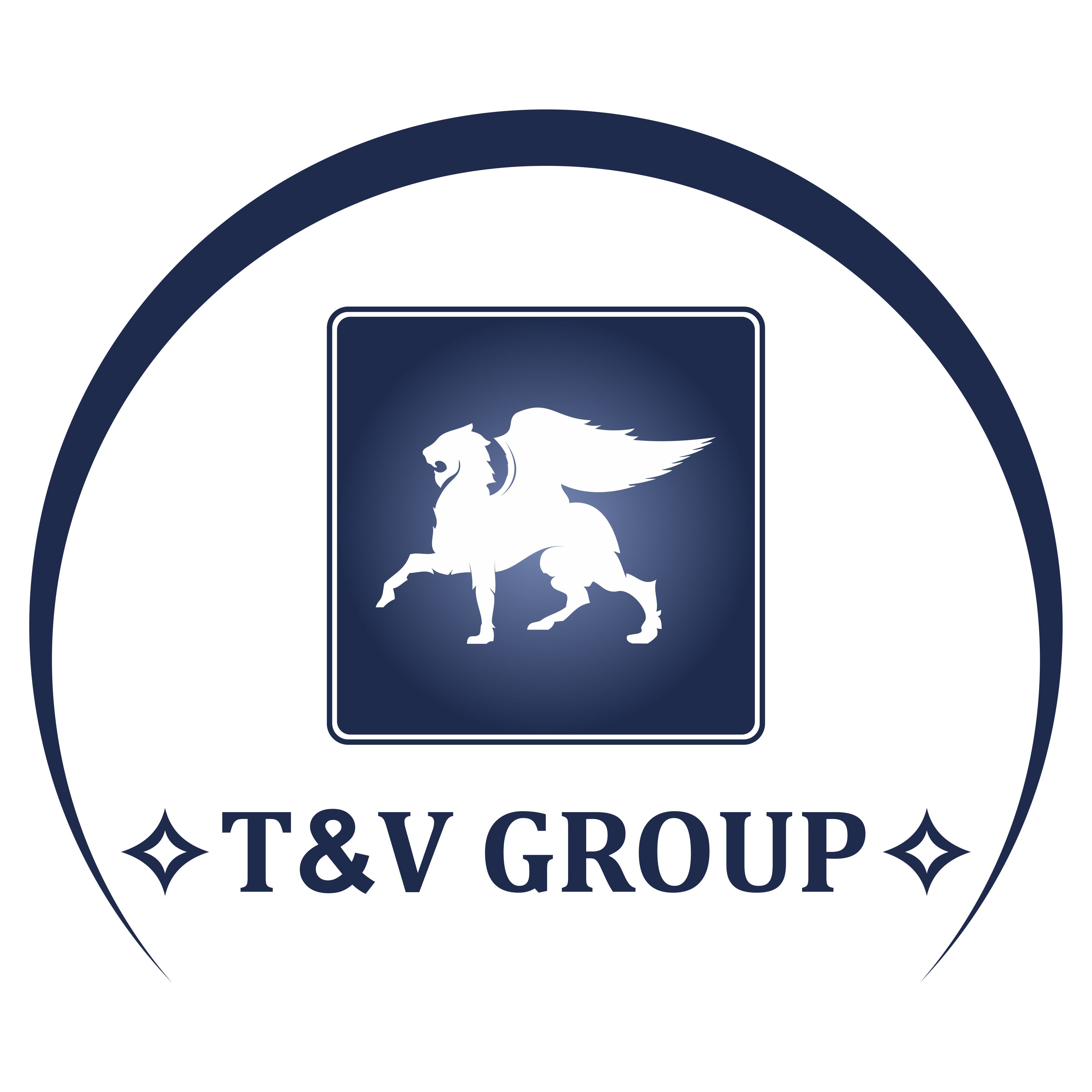 CÔNG TY CỔ PHẦN T&V GROUP