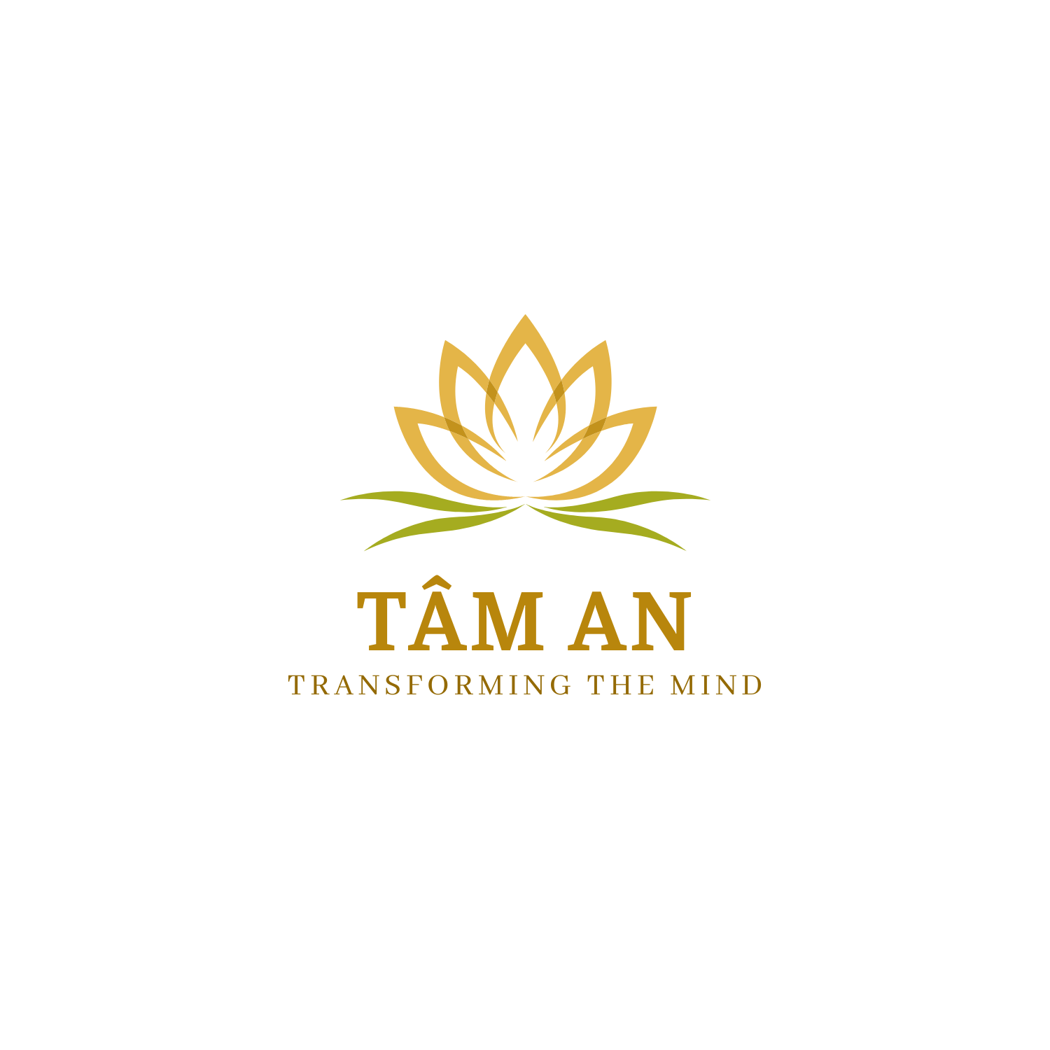 TAM AN MIND., JSC