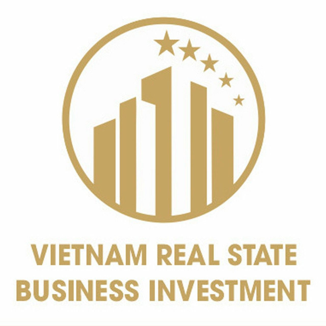 Công Ty Cổ Phần Đầu Tư Kinh Doanh Bất Động Sản Việt Nam