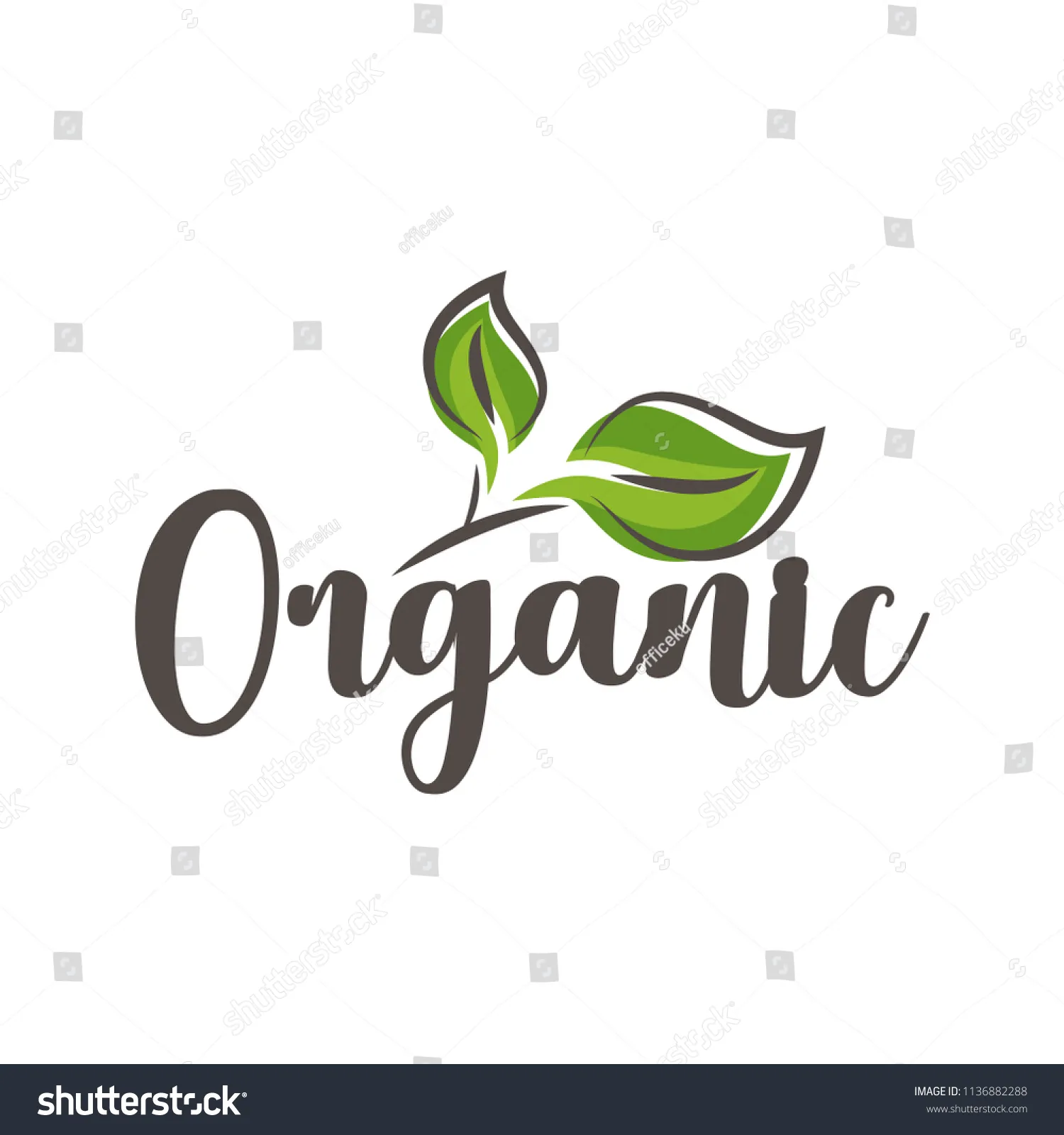 Organic Beauty Systems