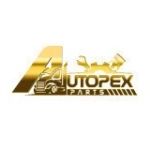 CÔNG TY CỔ PHẦN AUTOPEX HOLDING