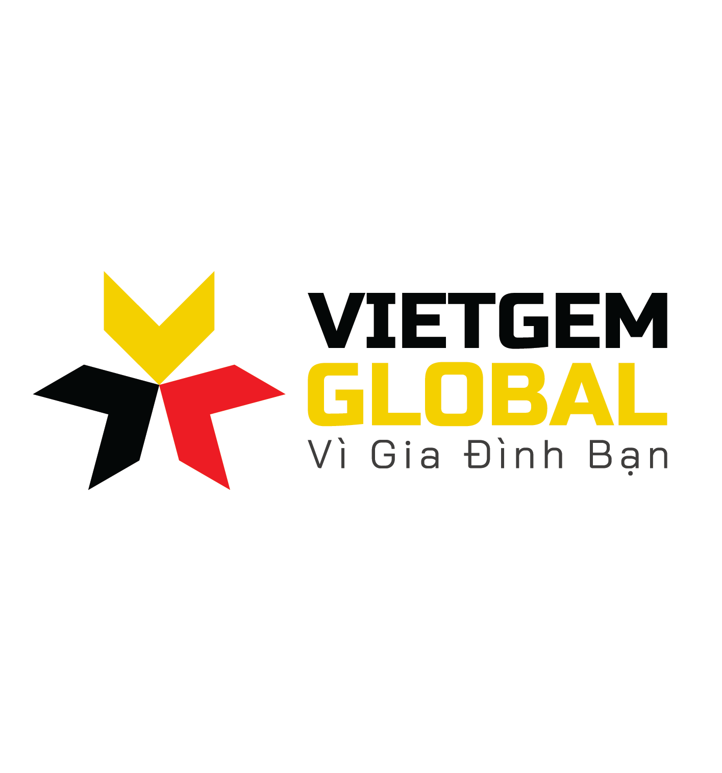 Công ty cổ phần Vietgem Global