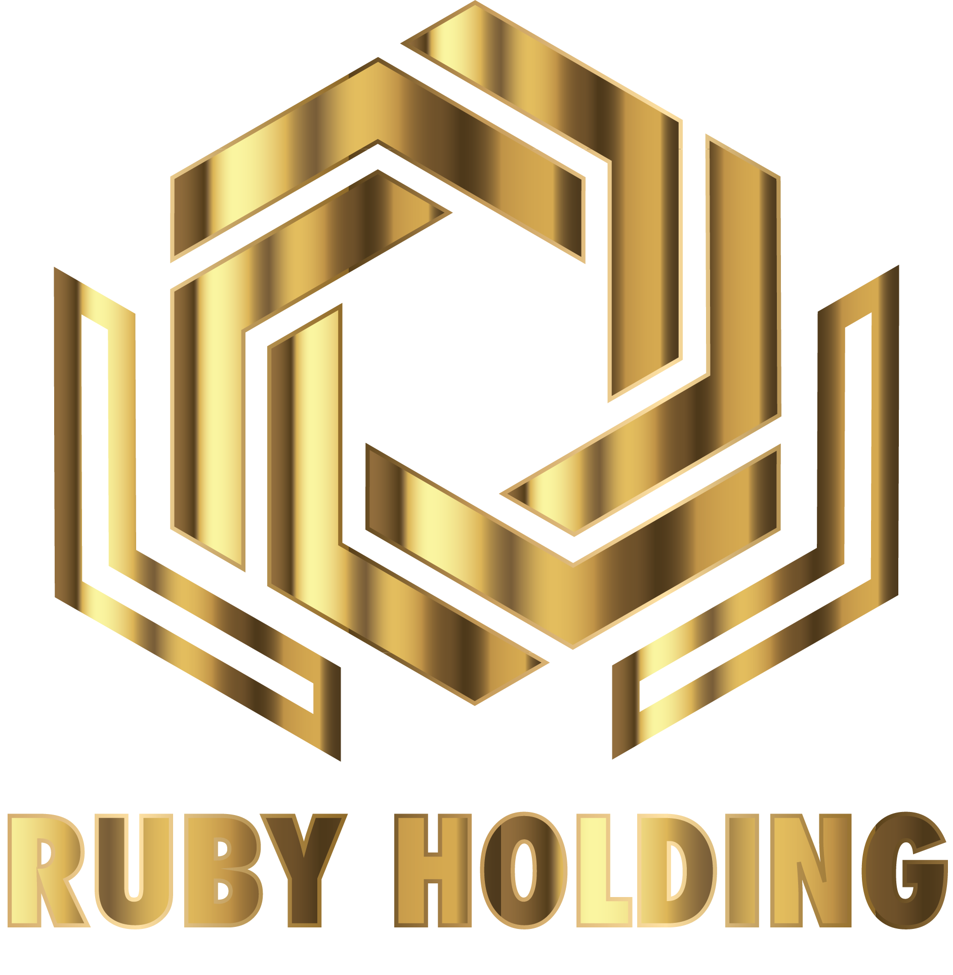 CÔNG TY TNHH ĐẦU TƯ VÀ PHÁT TRIỂN BẤT ĐỘNG SẢN RUBY HOLDING
