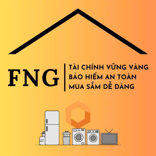CÔNG TY TNHH THƯƠNG MẠI DỊCH VỤ ĐIỆN MÁY TƯ VẤN TÀI CHÍNH BẢO HIỂM NGUYÊN PHONG (FNG)