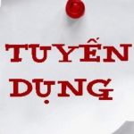 Công Ty TNHH Đầu Tư Kinh Doanh Tiên Phong