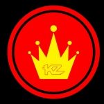 CÔNG TY CỔ PHẦN KING ZONE VIỆT NAM