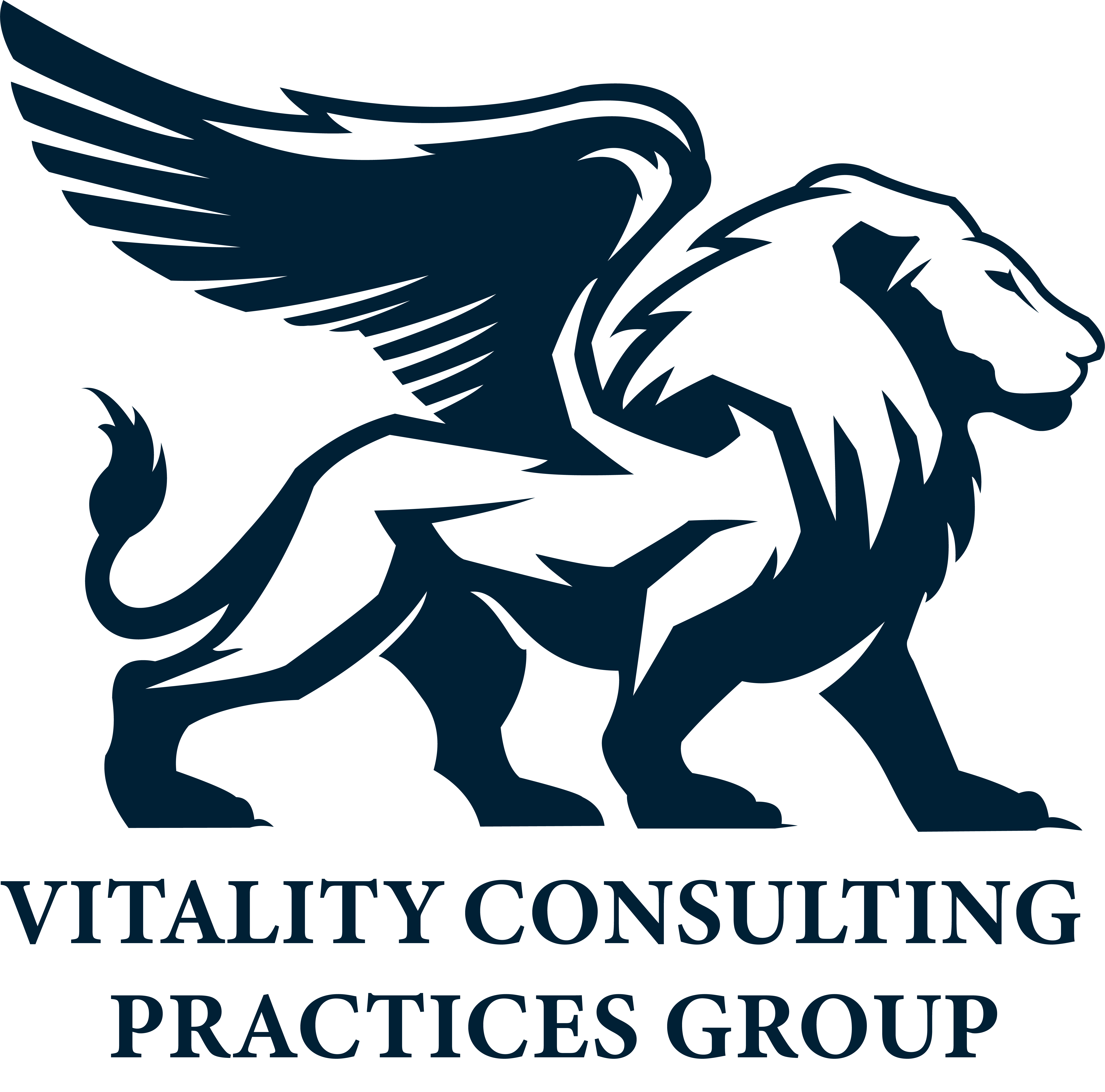 Vitality Consulting Practices Group