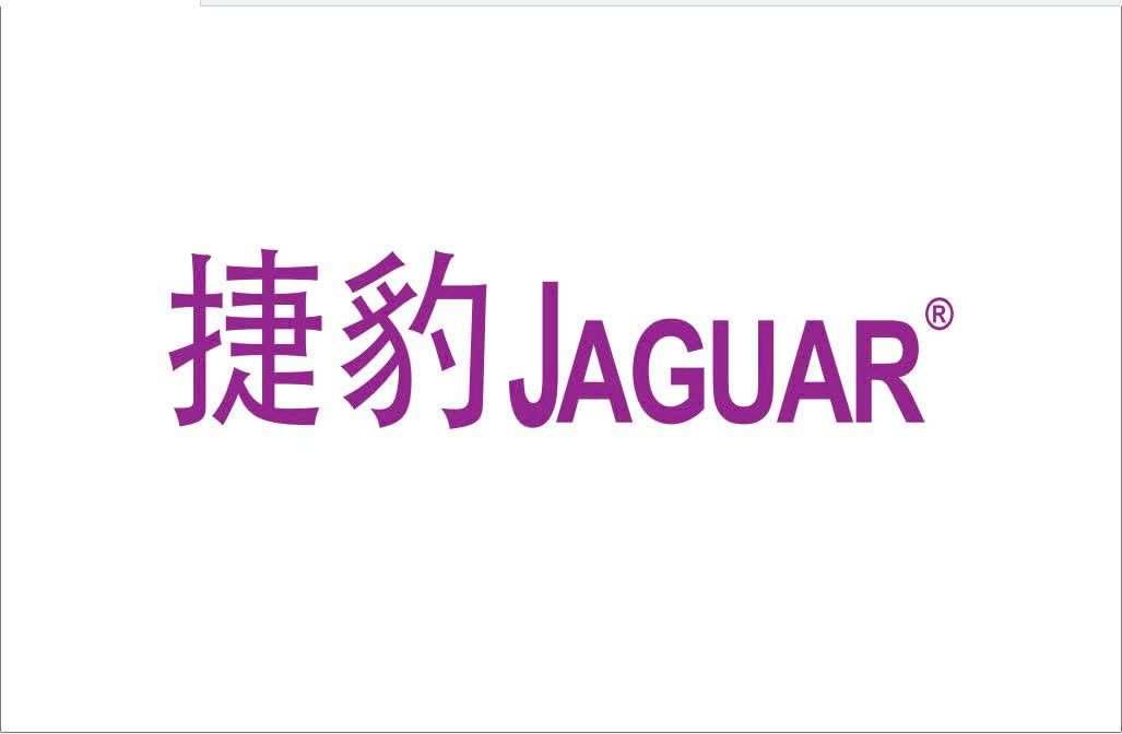 CÔNG TY TNHH THƯƠNG MẠI DỊCH VỤ XUẤT NHẬP KHẨU JAGUAR