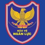 CÔNG TY CỔ PHẦN DỊCH VỤ BẢO VỆ NGÂN LỰC