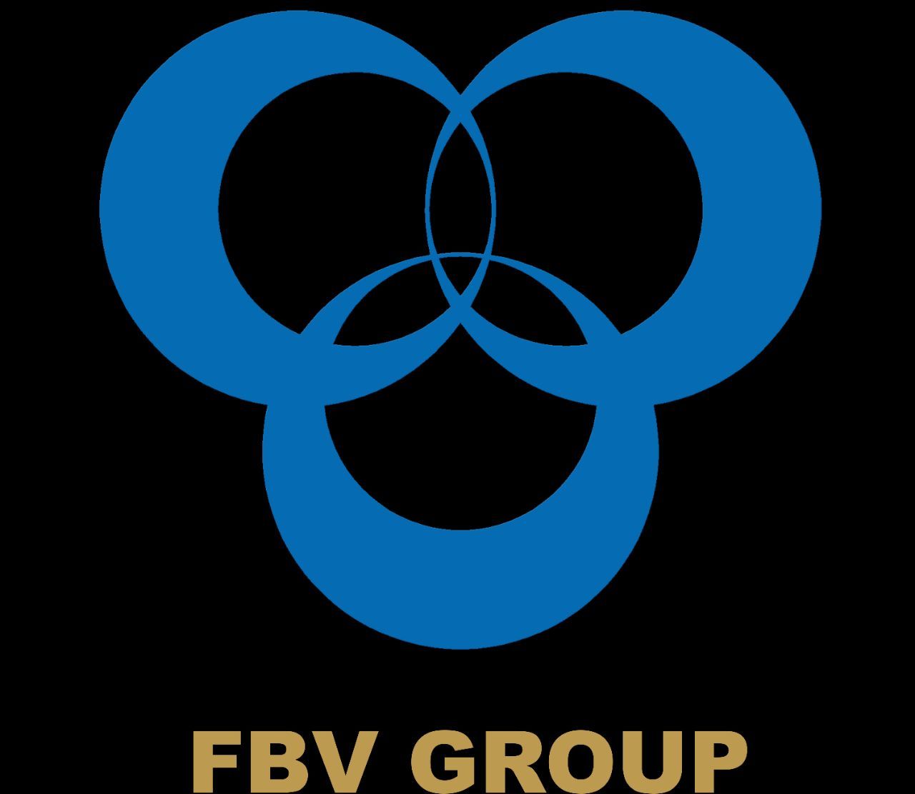 CÔNG TY CỔ PHẦN FAMILY BUSINESS VIỆT NAM GROUP