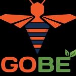 Công ty TNHH Xuất Nhập Khẩu Golden Bee
