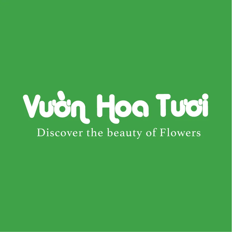 CÔNG TY TNHH THƯƠNG MẠI DỊCH VỤ VƯỜN HOA TƯƠI