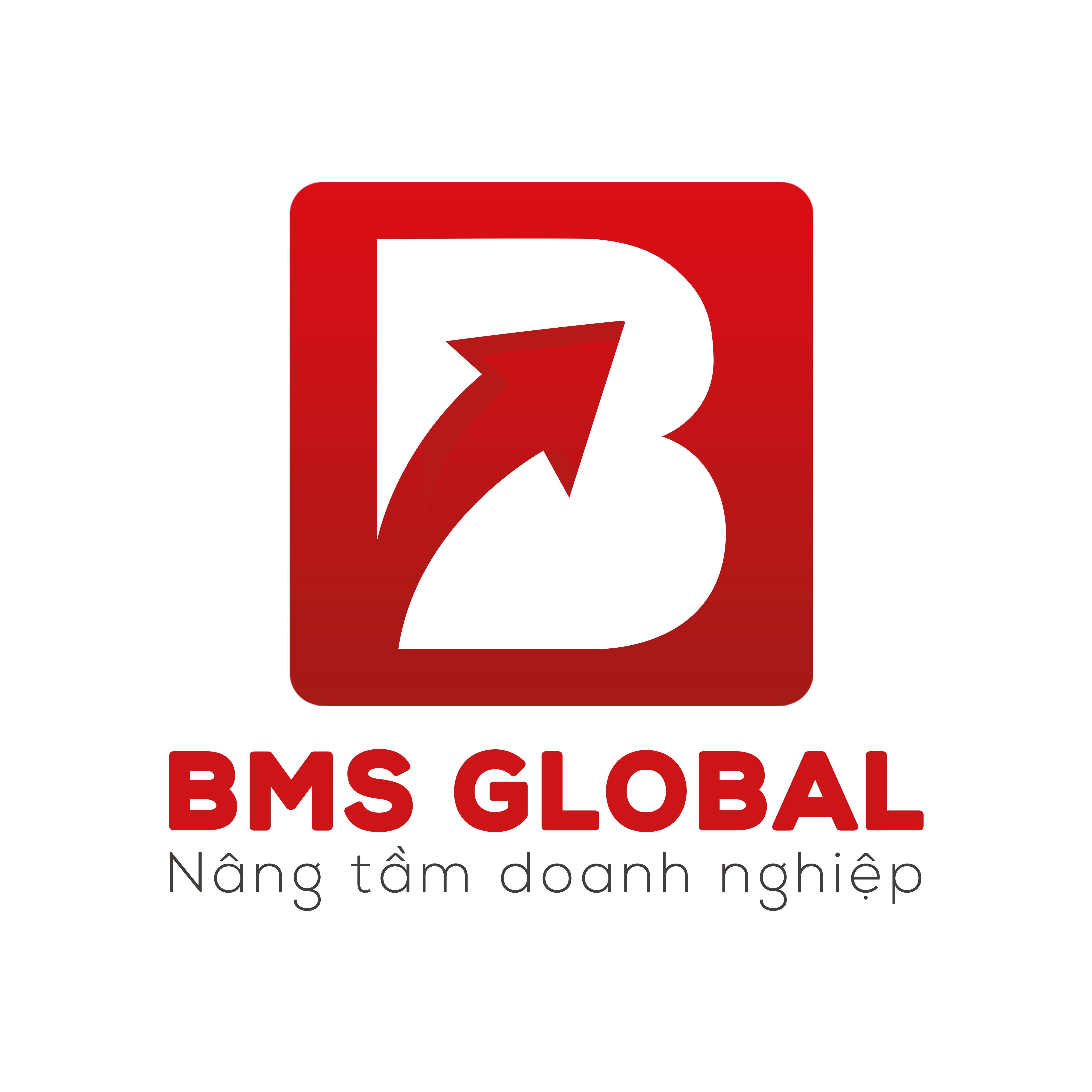 Công ty TNHH BMS Global