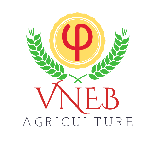Công ty TNHH Dinh Dưỡng VNEB