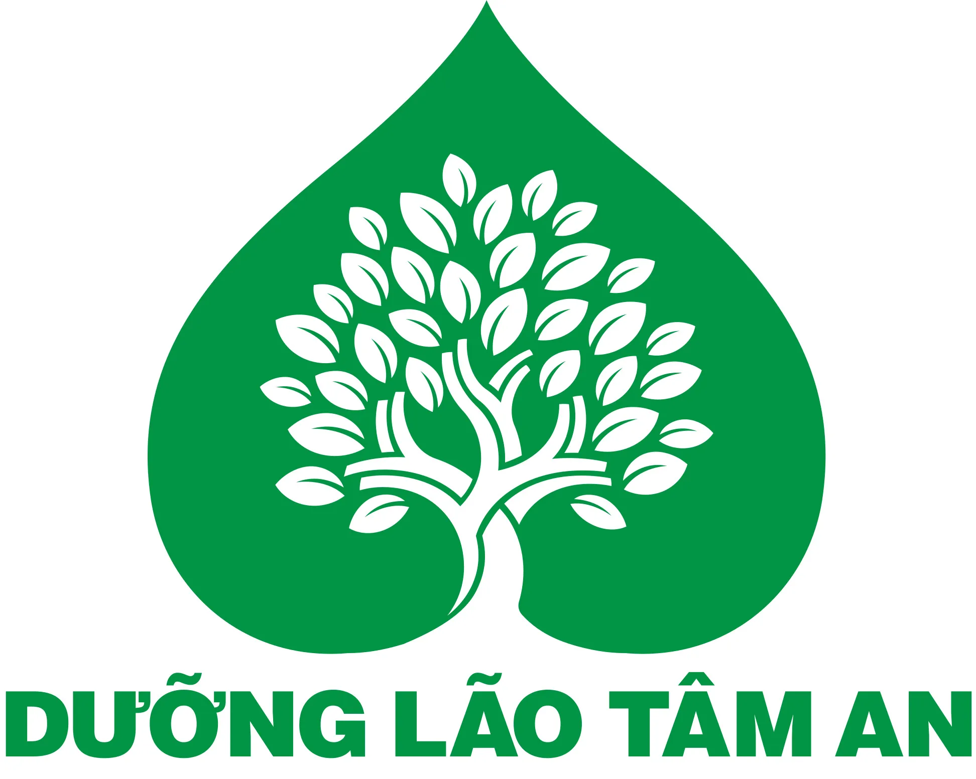 CÔNG TY TNHH DƯỠNG LÃO TÂM AN