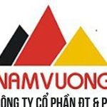 CÔNG TY CỔ PHẦN ĐẦU TƯ VÀ PHÁT TRIỂN CÔNG NGHỆ NAM VƯỢNG