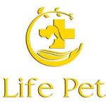 Bệnh Viện Thú Y LIFEPET