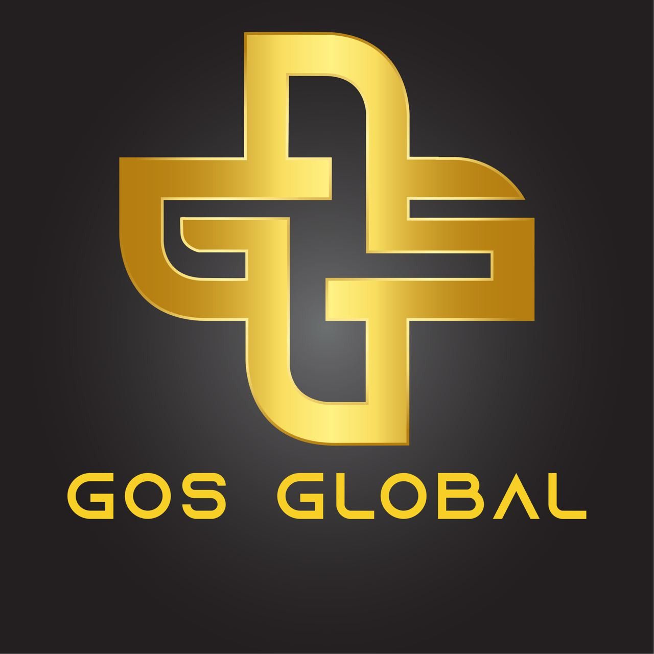 CÔNG TY TNHH DỊCH VỤ THƯƠNG MẠI TỔNG HỢP GO SEA
