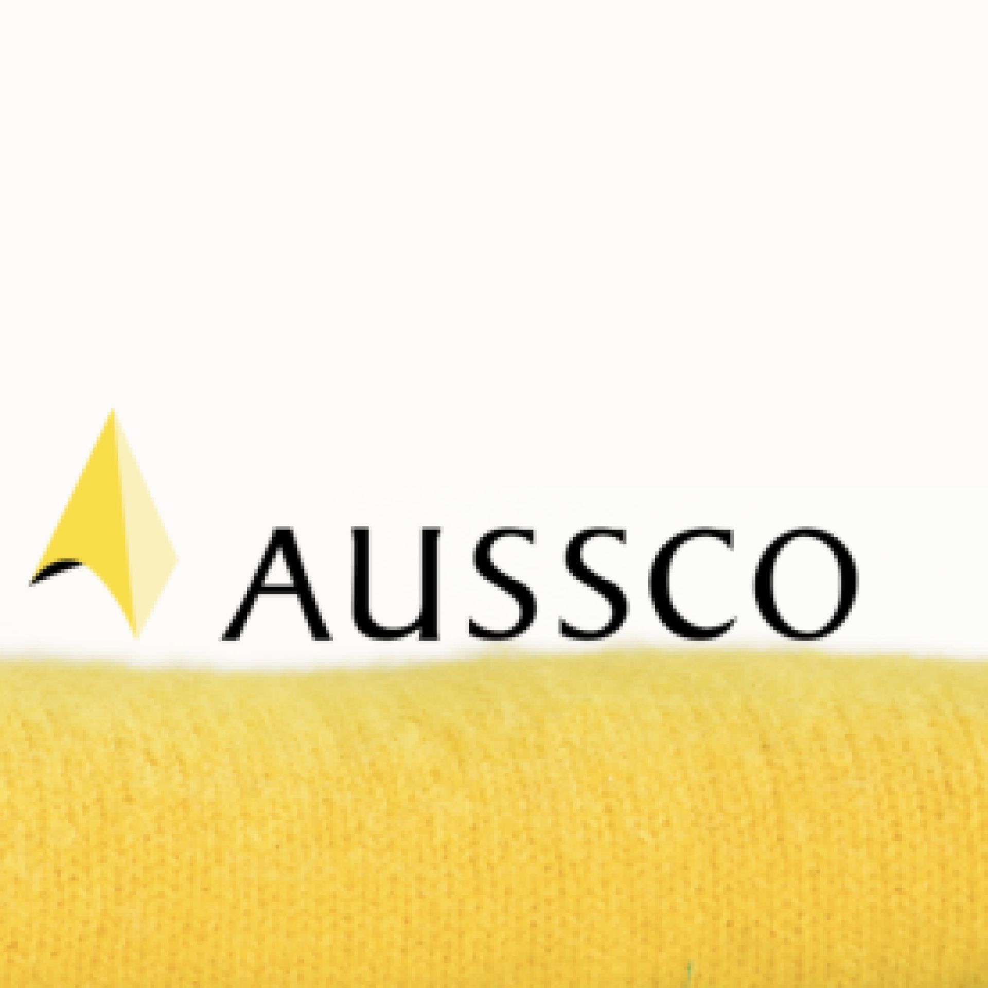 CÔNG TY TNHH AUSSCO VIỆT NAM