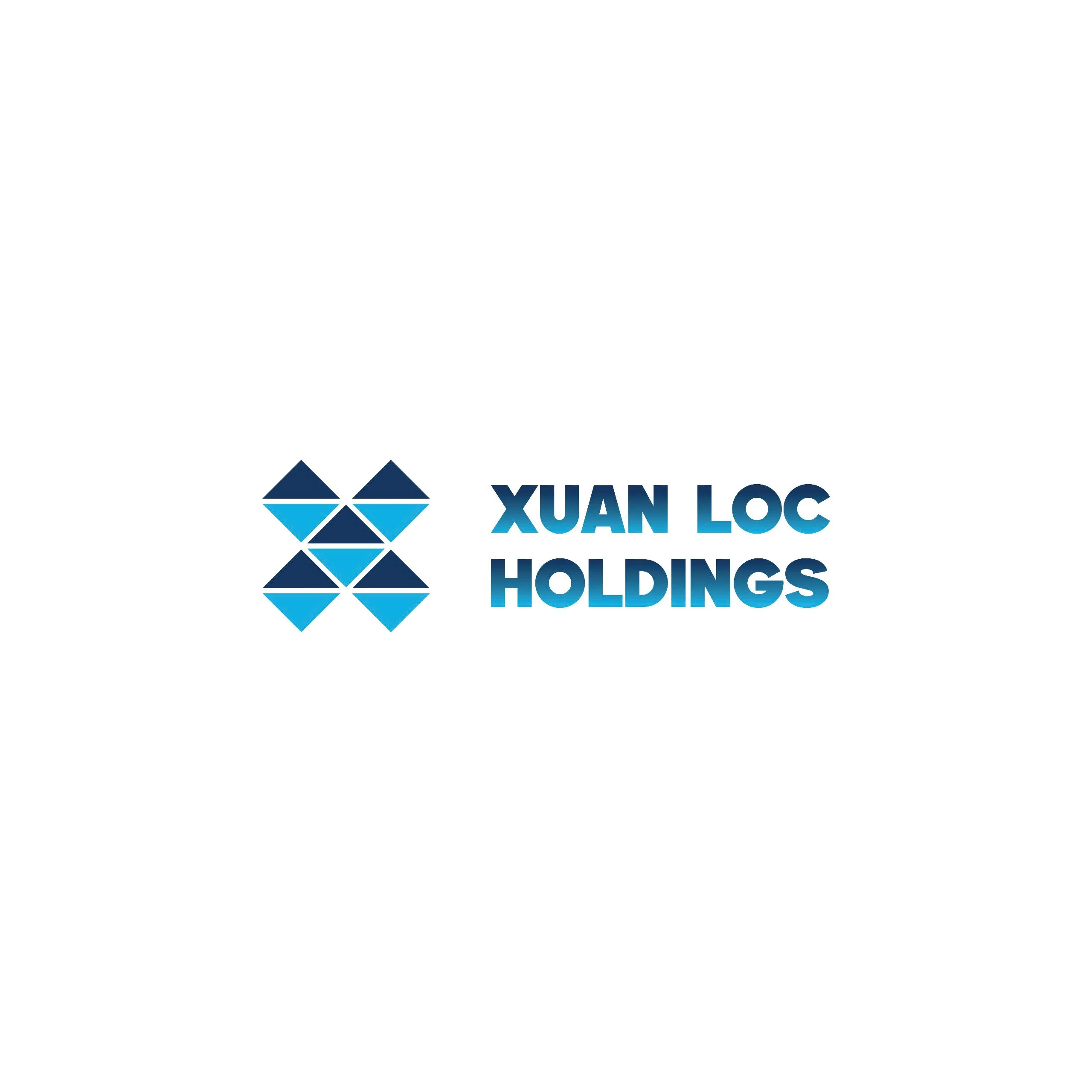 CÔNG TY CỔ PHẦN ĐẦU TƯ ĐỊA ỐC XUÂN LỘC HOLDINGS