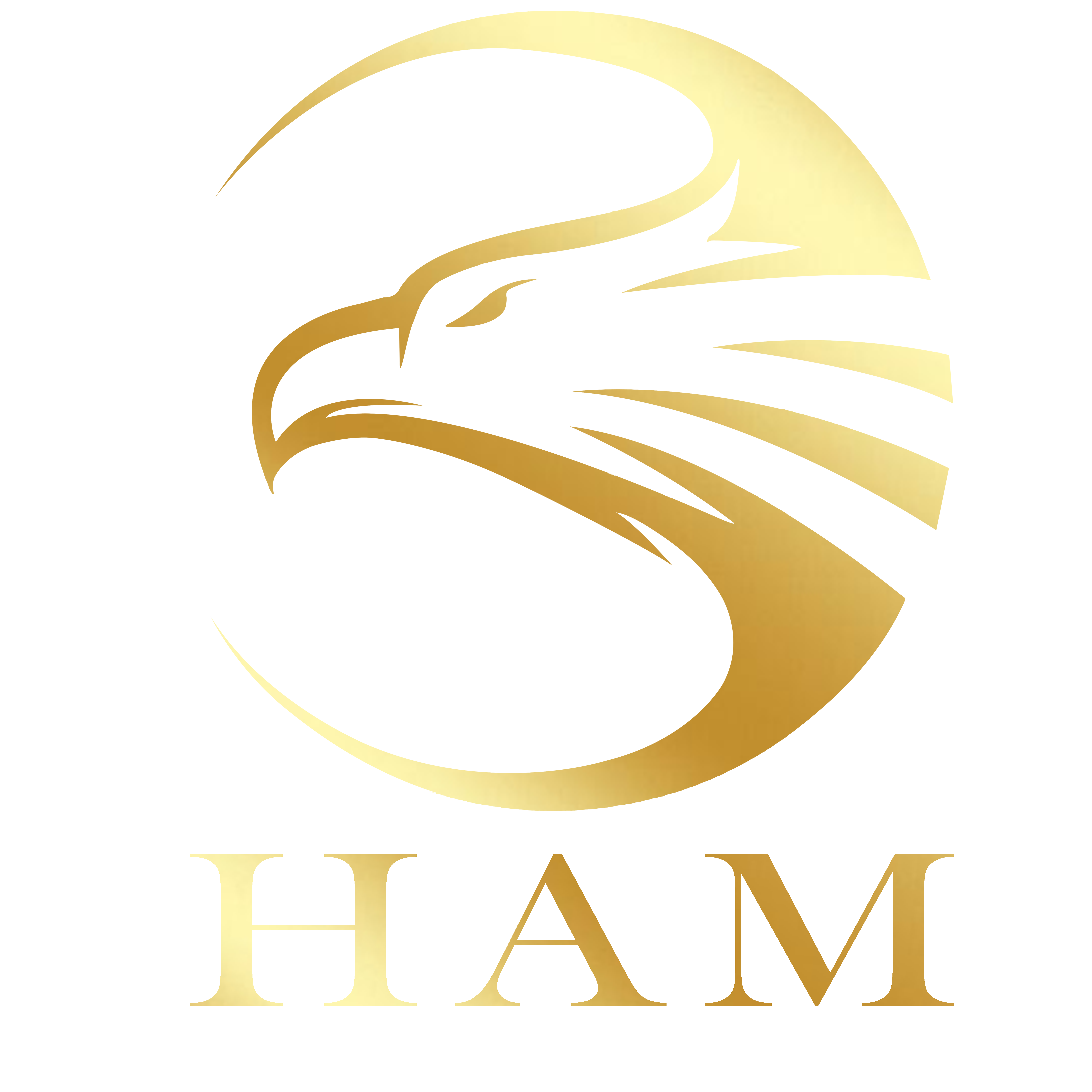 HAM Global