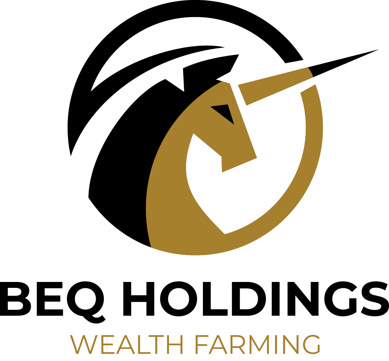 CÔNG TY CỔ PHẦN BEQ HOLDINGS