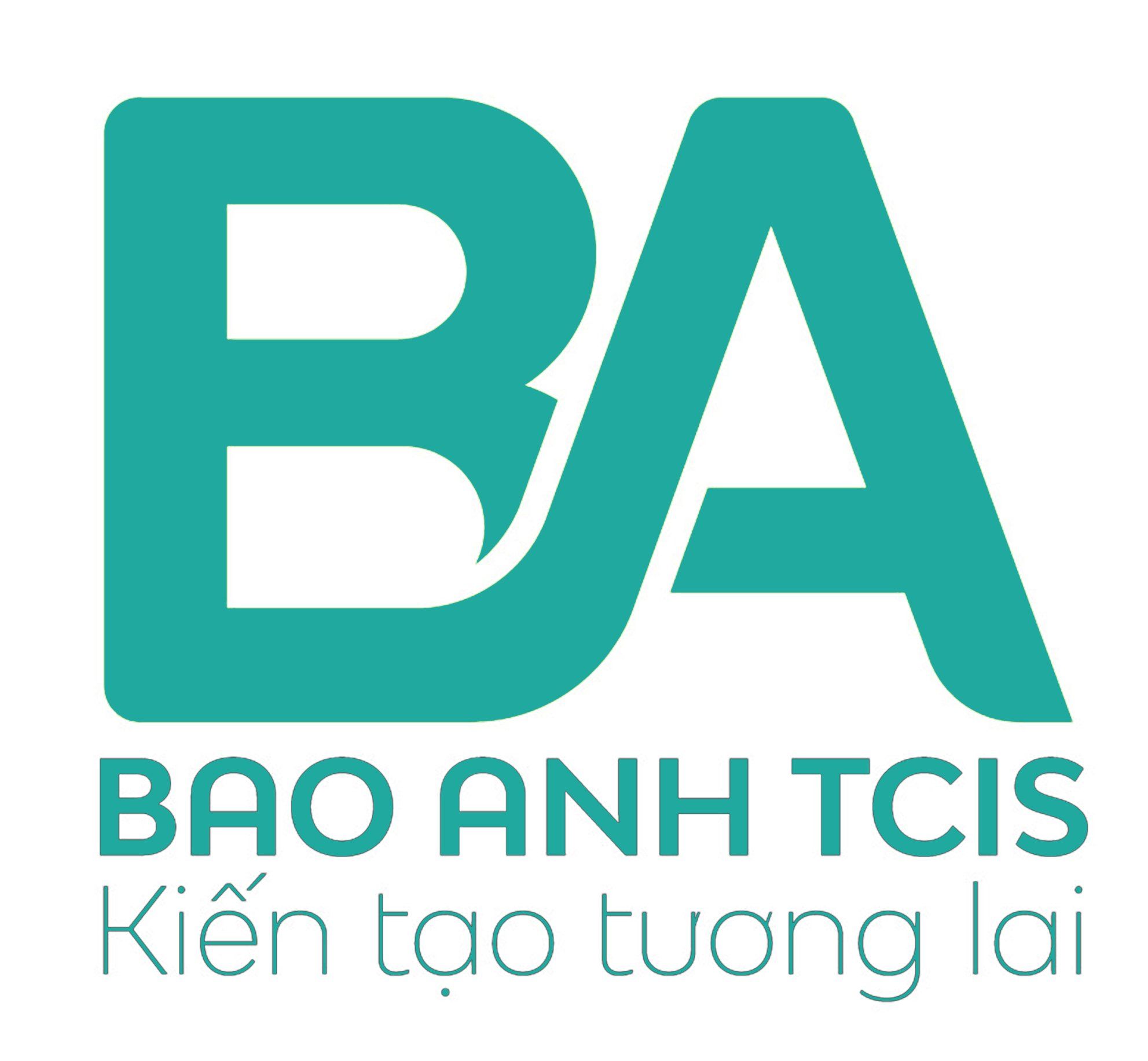 CÔNG TY CỔ PHẦN HỢP TÁC THƯƠNG MẠI VÀ DỊCH VỤ QUỐC TẾ BẢO ANH