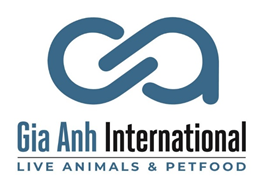CÔNG TY TNHH QUỐC TẾ GIA ANH