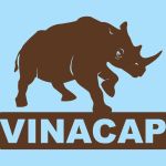 Công Ty Cổ Phần Viễn Thông Điện Tử Vinacap