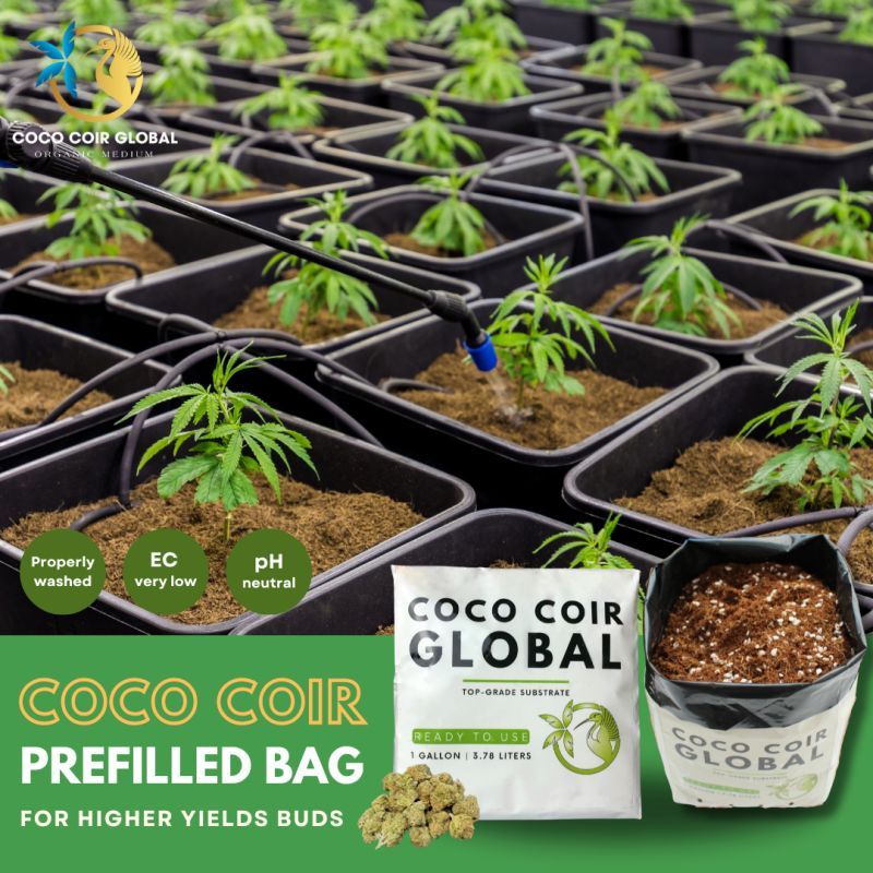 CÔNG TY TRÁCH NHIỆM HỮU HẠN COCO COIR GLOBAL
