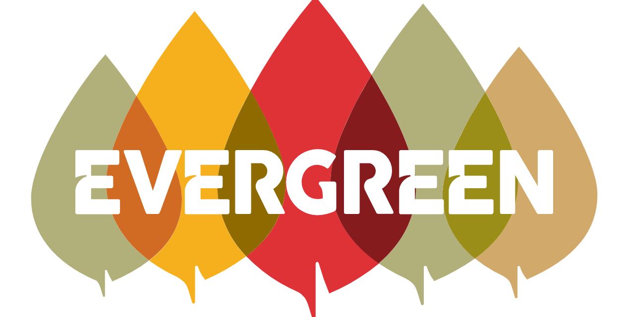 Công ty Cổ Phần Evergreen Đầu Tư